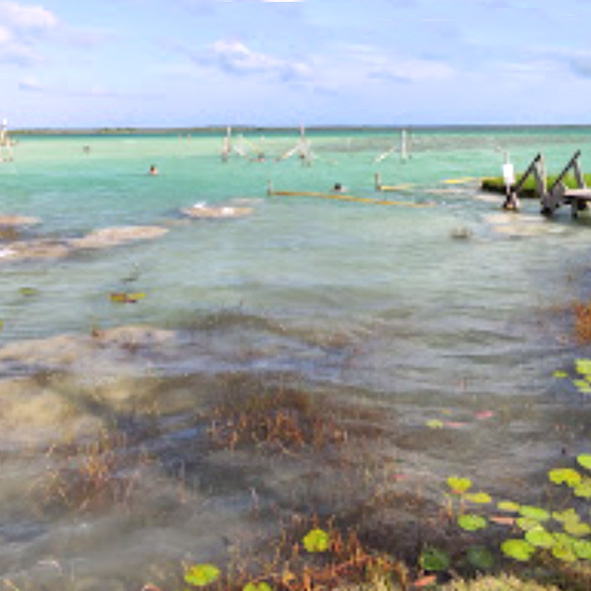 Cenote Cocalitos